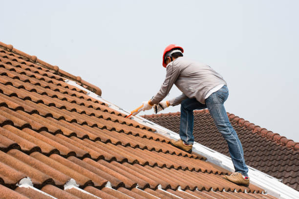 Best Roof Insulation Installation  in Moriarty, NM